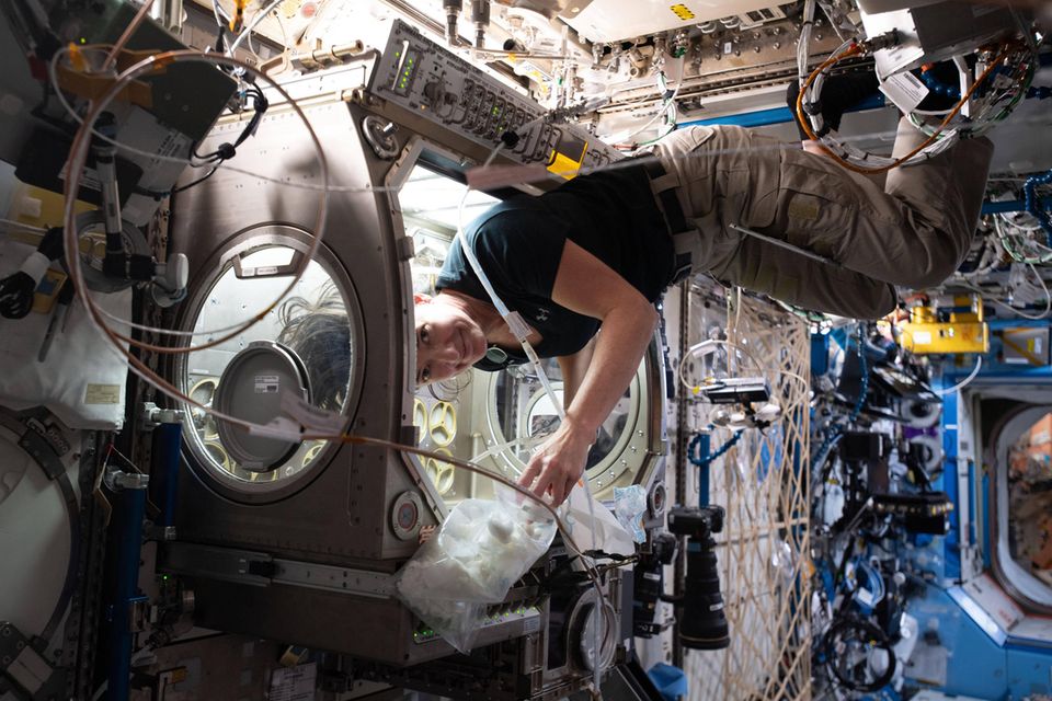 NASA-Astronautin Megan McArthur  auf der ISS