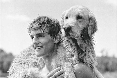 The Golden Retriever Photographic Society - Bruce Weber