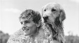 The Golden Retriever Photographic Society - Bruce Weber