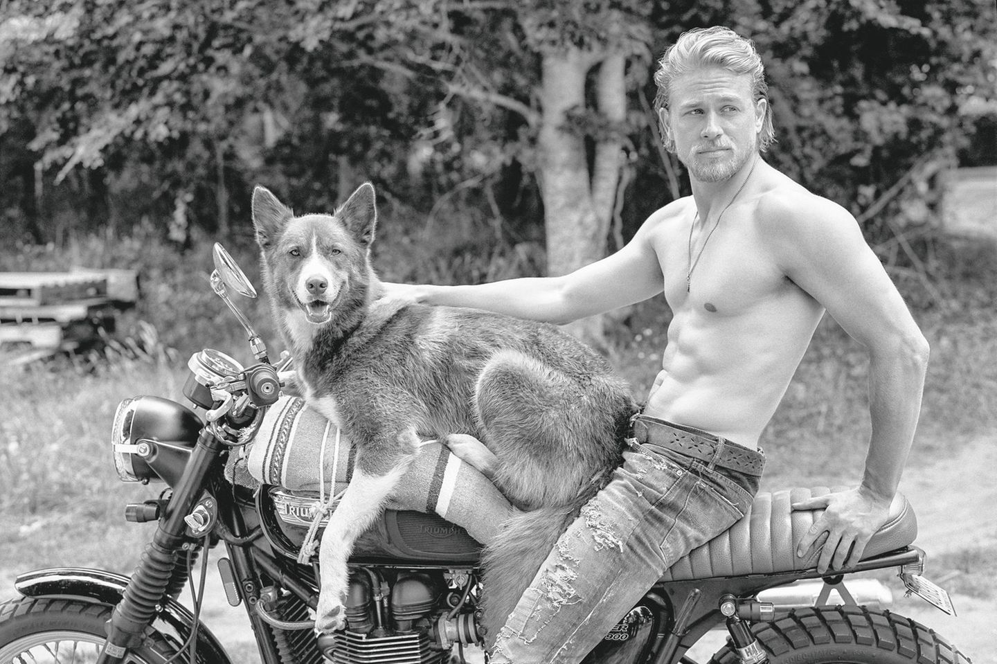 The Golden Retriever Photographic Society - Bruce Weber
