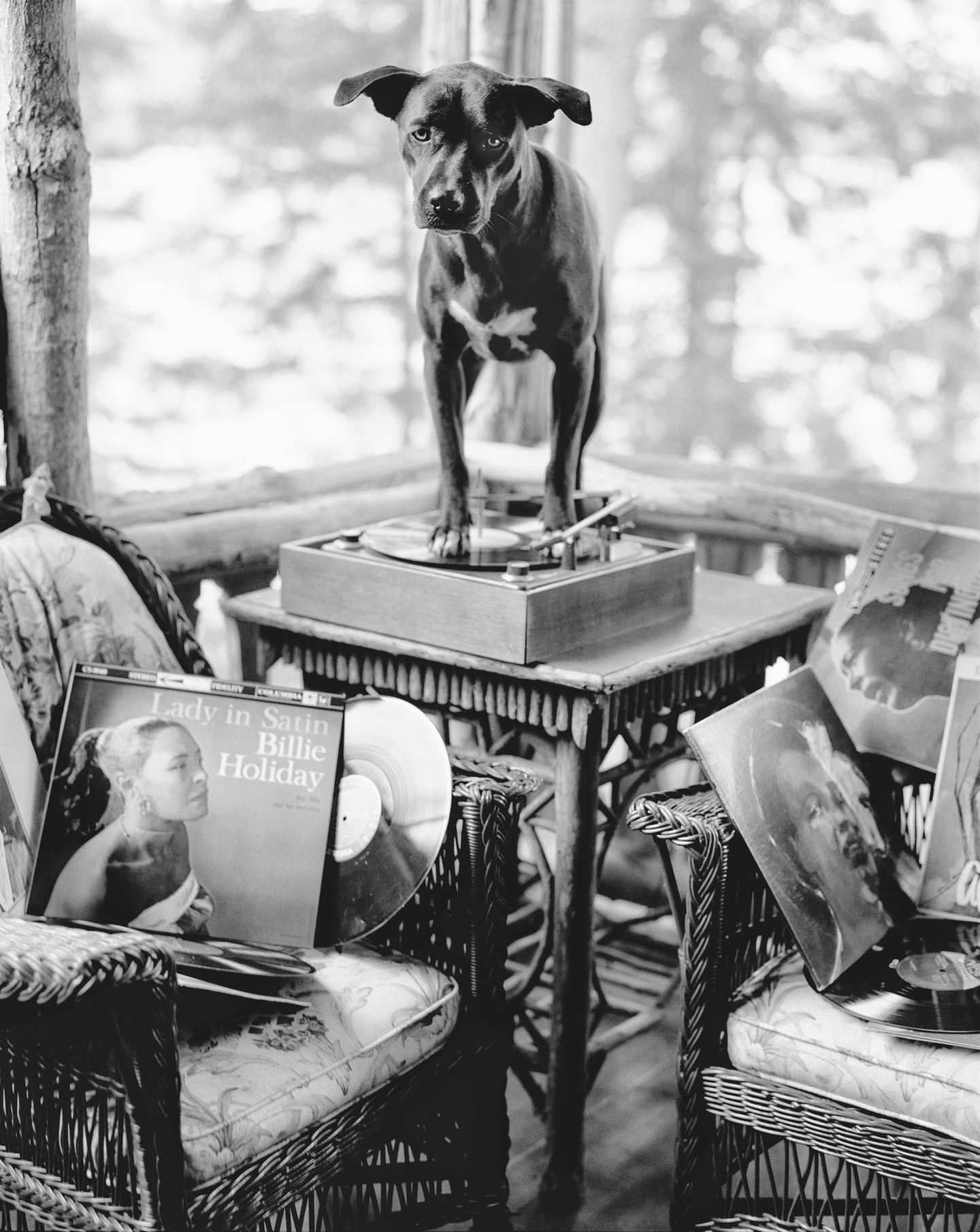 Billie Holiday mit ihrer Schallplattensammlung (New York, 2004) The Golden Retriever Photographic Society - Bruce Weber