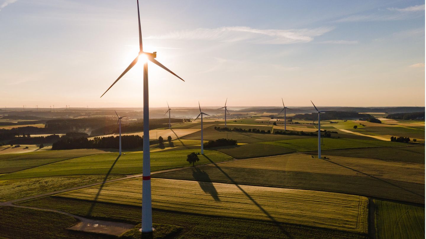 Windräder stehen während des Sonnenaufgangs auf einem Feld