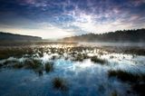 Nebel über dem See de Teut im Nationalpark Hoge Kempen