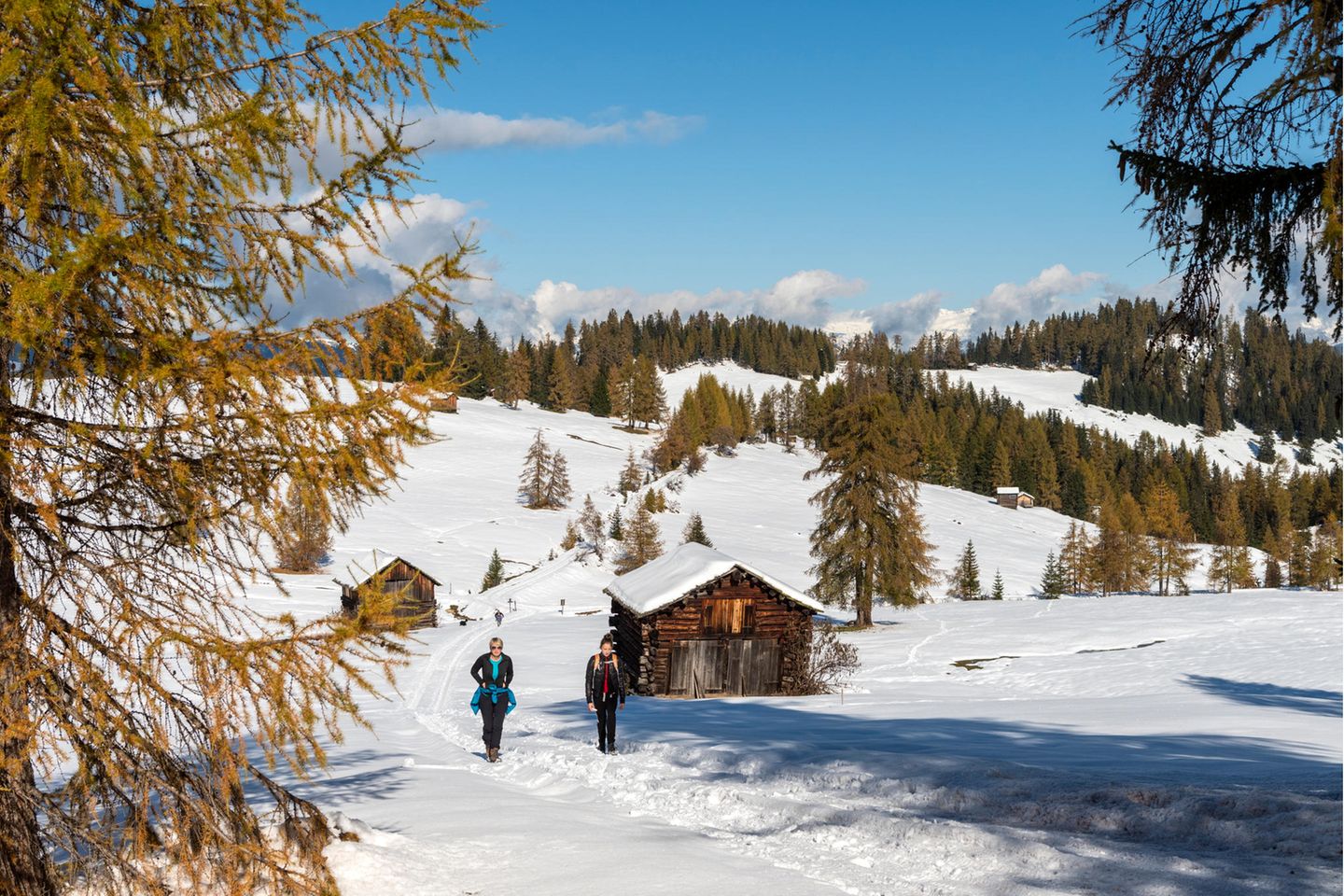 Südtirol: Abschalten in einer Alpenhütte Schneelandschaft Hochabtei in Südtirol
