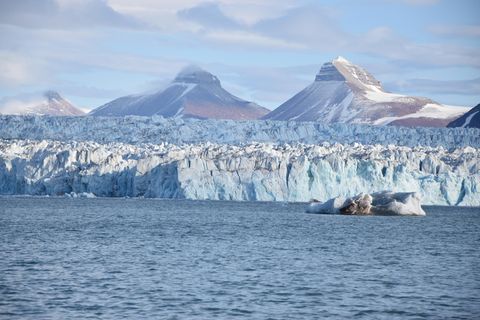 Seit 1900 ist der Arktische Ozean etwa zwei Grad wärmer geworden
