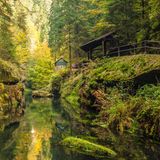 Fluss der Edmundsklamm im grünen Wald im Nationalpark Böhmische Schweiz