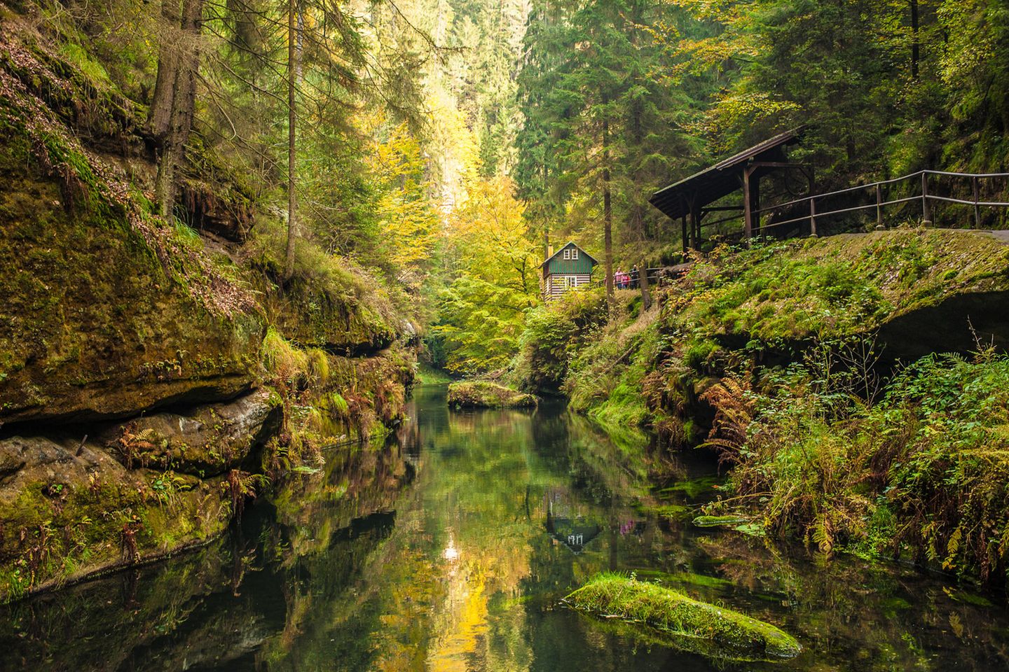 Fluss der Edmundsklamm im grünen Wald im Nationalpark Böhmische Schweiz