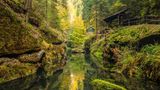 Fluss der Edmundsklamm im grünen Wald im Nationalpark Böhmische Schweiz