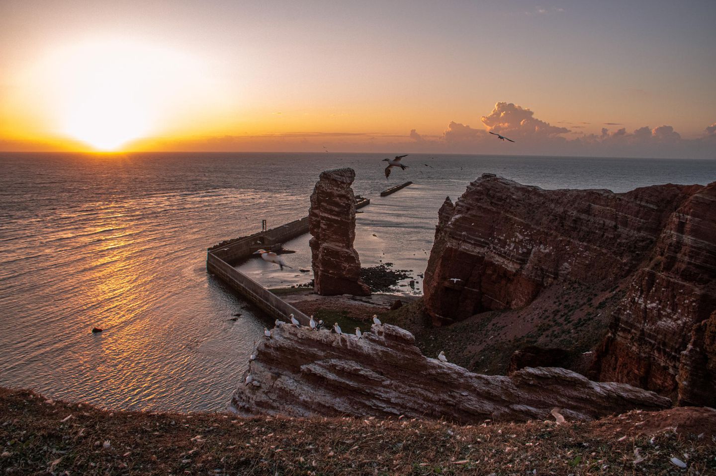 Besuch bei der Langen Anna Lange Anna im Abendrot mit Vögeln auf Helgoland