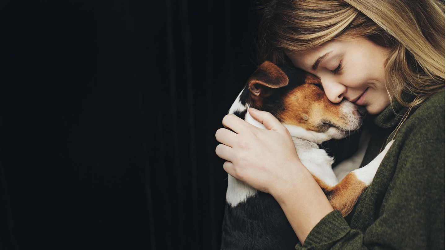 Kommunikation: Hunde haben eine einzigartige Fähigkeit: Sie verstehen uns wie kein anderes Tier