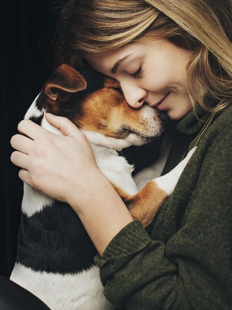 Kommunikation: Hunde haben eine einzigartige Fähigkeit: Sie verstehen uns wie kein anderes Tier