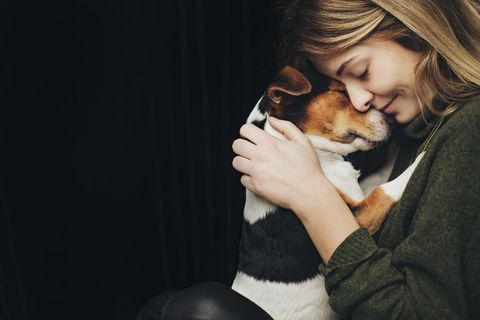 Kommunikation: Hunde haben eine einzigartige Fähigkeit – sie verstehen uns wie kein anderes Tier
