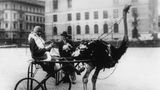 circa 1920:  American singer and dancer Josephine Baker (1906 - 1975) has harnessed an ostrich to pull a racing sulky.  (Photo by General Photographic Agency/Getty Images)