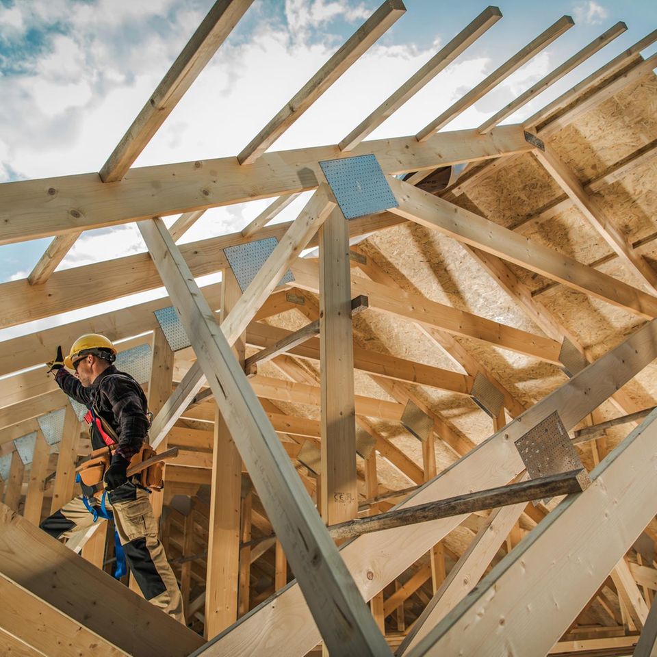 Bauen: Holzbau im großen Stil schädigt die Natur – wir sollten davon absehen, den Wald zu opfern