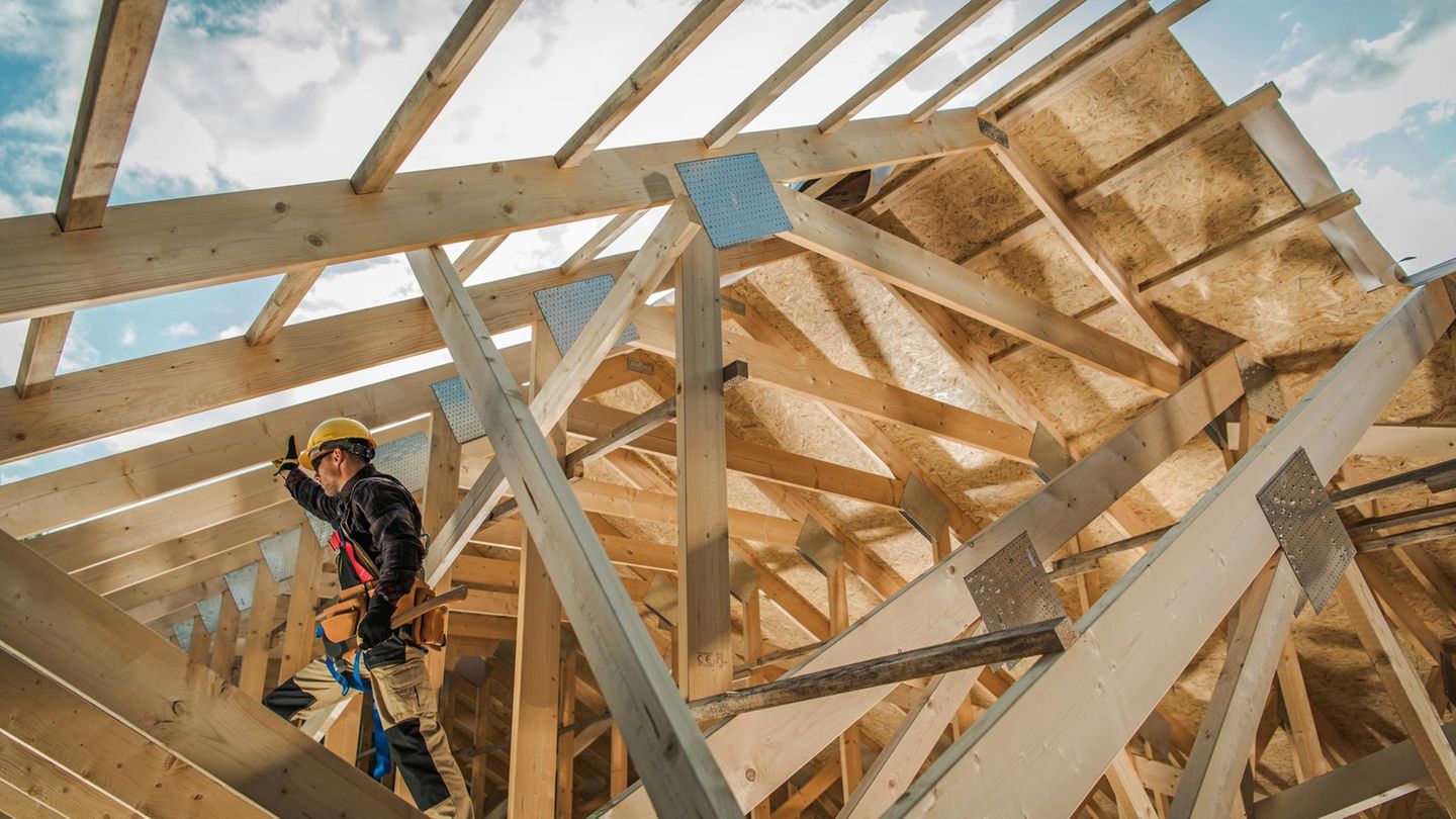 Bauen: Holzbau im großen Stil schädigt die Natur – wir sollten davon absehen, den Wald zu opfern