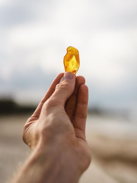 Schatz aus der Urzeit: Bernstein: Wie das Gold des Meeres entsteht und wo es zu finden ist