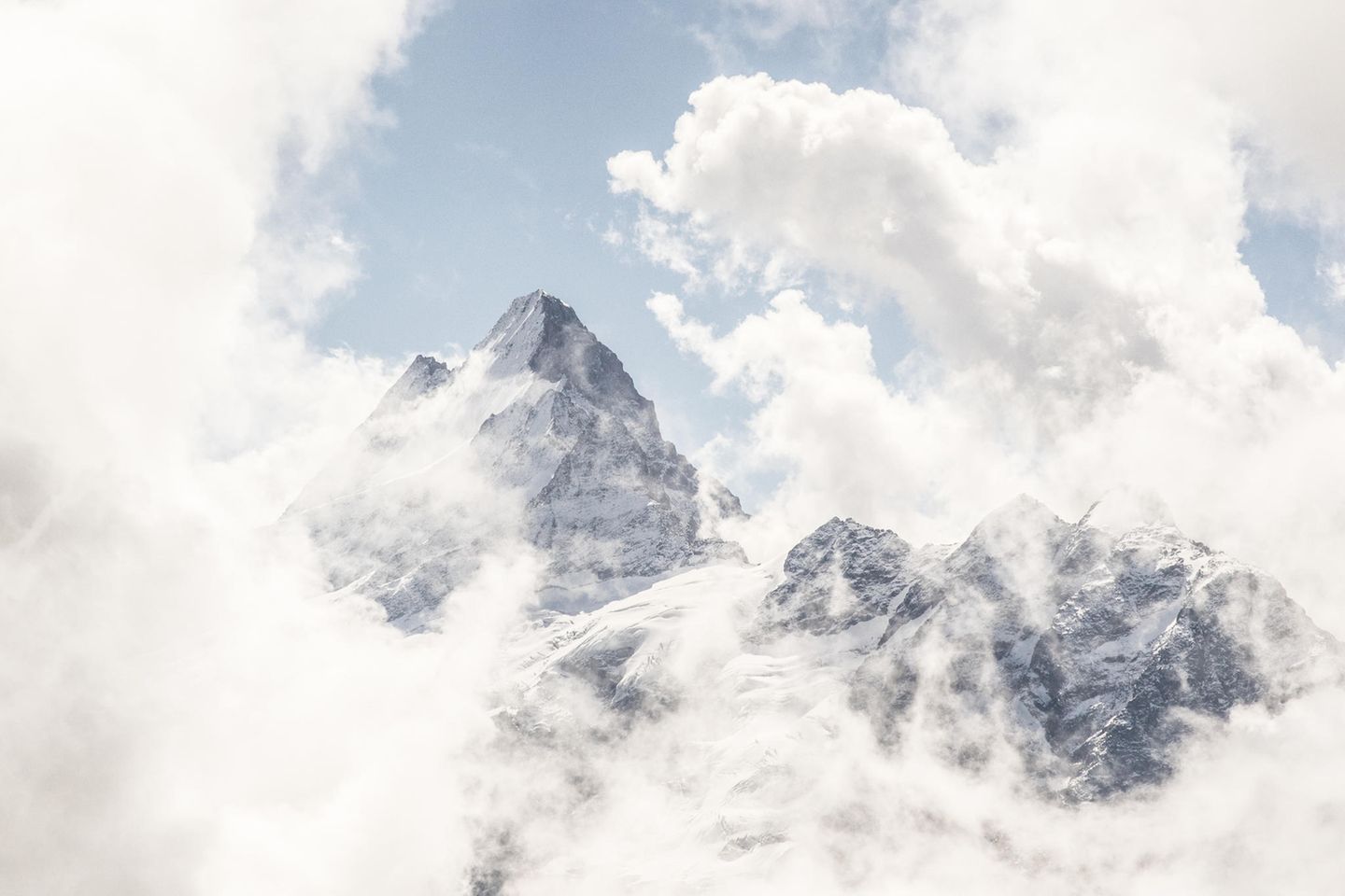 15.11.2021      "Mit der analogen Kamera im Gepäck den ersten Schnee im First gebiet erkunden. Dauerhafter Wolkenbehang, liess auf einen trüben Tag schliessen. Doch für 15 Minuten bei minus acht Grad wurde es ganz warm als das Finsteraarhorn ganz freundlich dreinschaute."  Kamera: Contax 135 Quartz Objektiv: Carl Zeiss Planar 50mm, f1.7 Film: Kodak Portrat 400