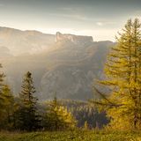 29.11.2021      "Herbststimmung im wunderschönen Wandergebiet Spital am Pyhrn. Das Foto wurde an der Grenze zwischen Oberösterreich und die Steiermark aufgenommen."      Kamera: Canon 6D, ISO 100, f/8, 1/250, 50mm  Mehr Fotos von Akos Csiki