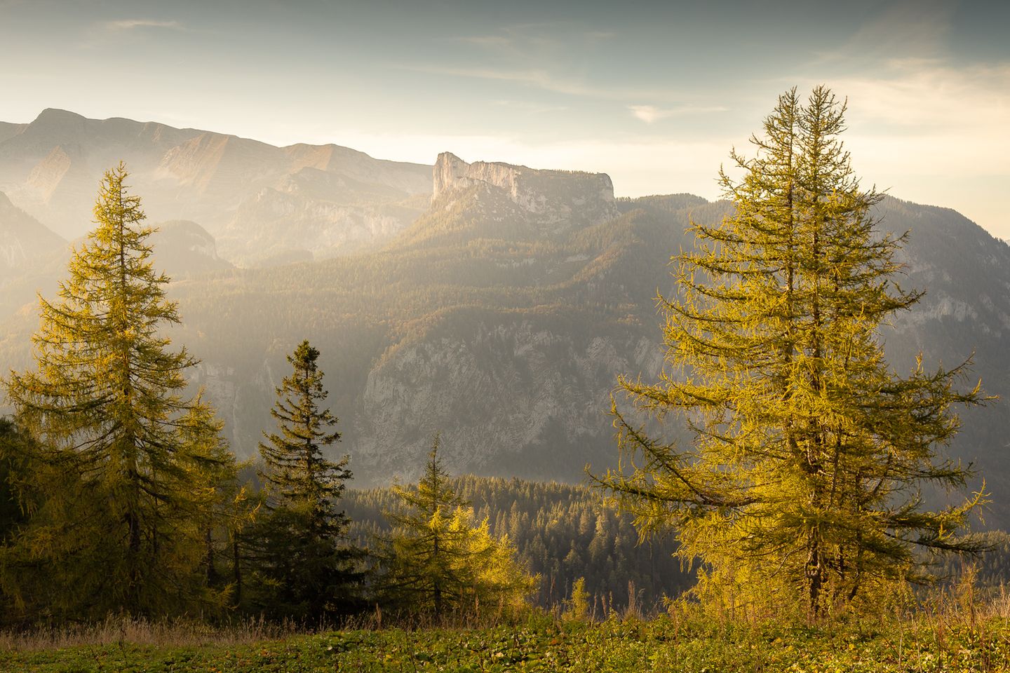 29.11.2021      "Herbststimmung im wunderschönen Wandergebiet Spital am Pyhrn. Das Foto wurde an der Grenze zwischen Oberösterreich und die Steiermark aufgenommen."      Kamera: Canon 6D, ISO 100, f/8, 1/250, 50mm  Mehr Fotos von Akos Csiki