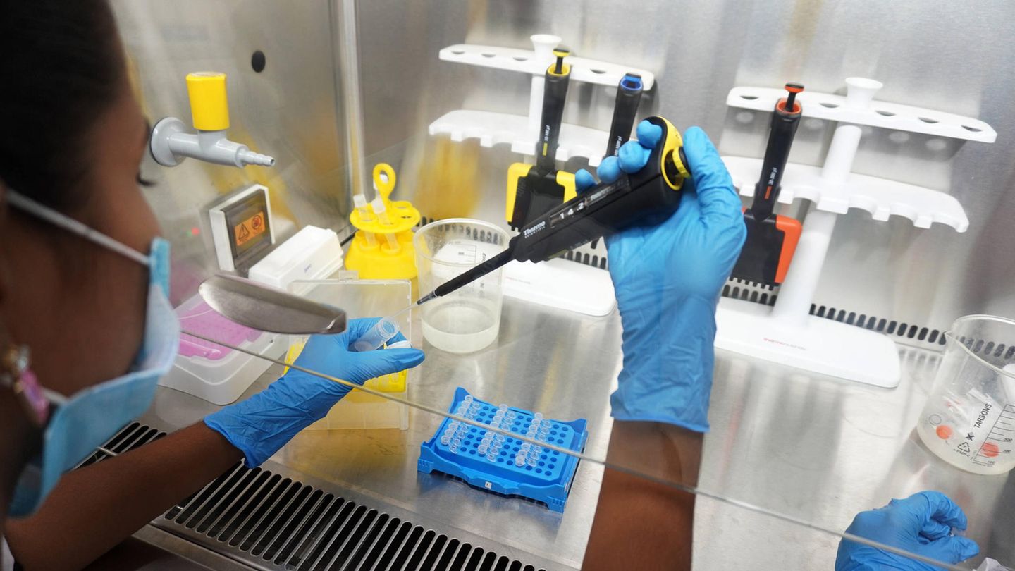 Frau untersucht Coronavirus-Probem im Labor Frau untersucht Coronavirus-Probem im Labor