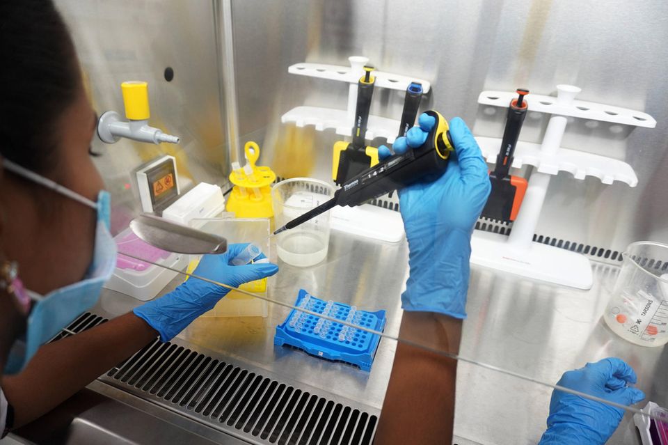 Frau untersucht Coronavirus-Probem im Labor