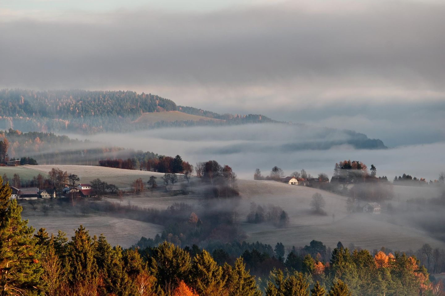 GEO LESERFOTO: 01.12.2021 "Kurz nach Sonnenaufgang im Wechselgebiet bei Mönichkirchen in Niederösterreich. Der Nebel zieht durch die Täler und erzeugt eine mystische Stimmung, die ich versucht habe im Bild festzuhalten. Das relativ frühe Aufstehen an einem Sonntag im November 2021 hat sich für diesen Anblick definitiv gelohnt." Kamera: Canon EOS 750D, Objektiv Canon EF 70-300mm f/4.0-5.6, NISI Landschaftspolfilter und Stativ. ISO 100 f8 1/40sek 178mm Mehr Fotos von Thomas Lange 01.12.2021 "Kurz nach Sonnenaufgang im Wechselgebiet bei Mönichkirchen in Niederösterreich. Der Nebel zieht durch die Täler und erzeugt eine mystische Stimmung, die ich versucht habe im Bild festzuhalten. Das relativ frühe Aufstehen an einem Sonntag im November 2021 hat sich für diesen Anblick definitiv gelohnt." Kamera: Canon EOS 750D, Objektiv Canon EF 70-300mm f/4.0-5.6, NISI Landschaftspolfilter und Stativ. ISO 100 f8 1/40sek 178mm Mehr Fotos von Thomas Lange