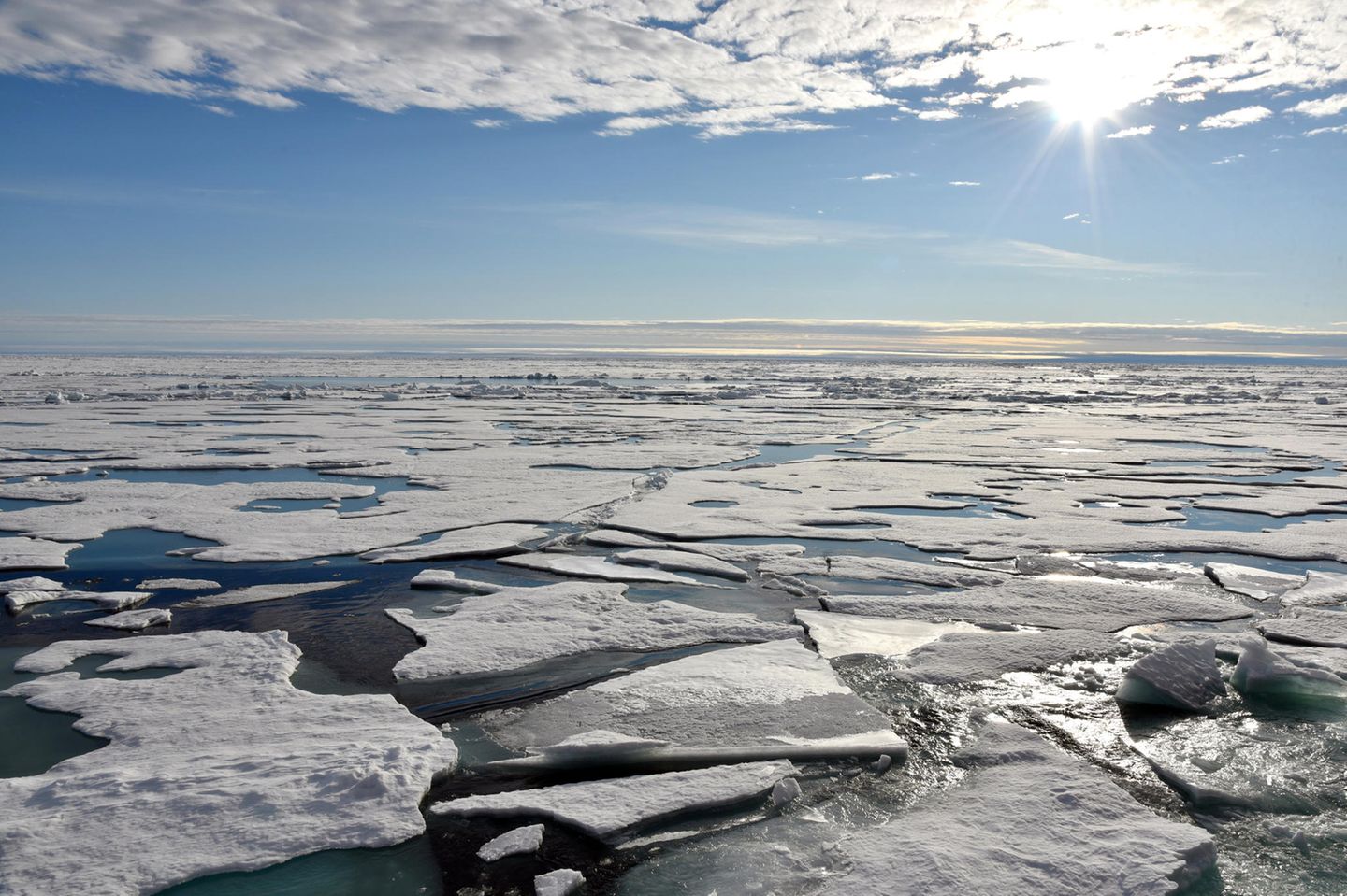 Nordpol: Auf dem Arktischen Ozean am Nordpol schwimmen Eisplatten.