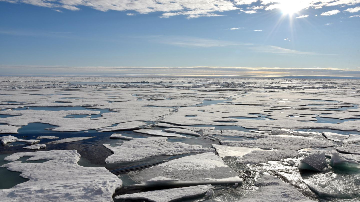 Nordpol: Auf dem Arktischen Ozean am Nordpol schwimmen Eisplatten.