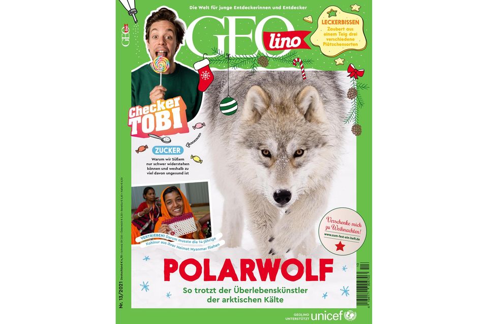GEOlino Magazin: Polarwolf