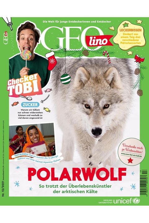 GEOlino Magazin: Polarwolf