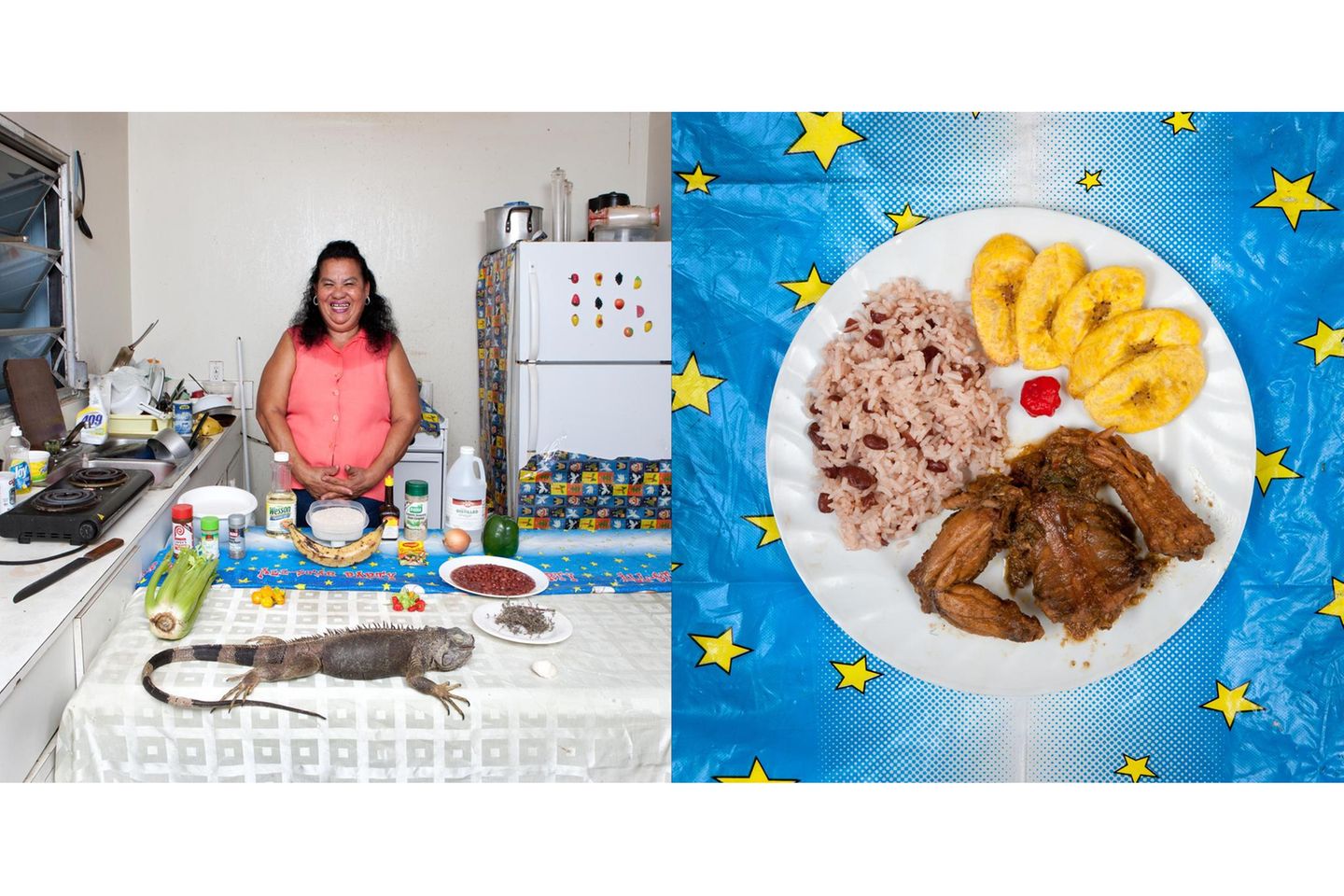 Maria Luz Fedric  Leguan mit Reis und Bohnen (Rezept siehe unten)      Sie wuchs auf einer honduranischen Insel auf, heute lebt Maria Luz Fedric mit ihrem Mann auf den Cayman Islands, dort führte die 53-Jährige lange ein Fischrestaurant. Damit ihre Enkel ihre honduranischen Wurzeln nicht vergessen, kocht sie den beiden gern dieses Festgericht: Leguan mit Reis und Bohnen Honduras  Wie man einen Leguan küchenfertig zubereitet, sollten Sie sich von Frau Fedric erklären lassen (in Europa wäre jedenfalls Kaninchen eine gangbare Alternative).      Das gehackte Gemüse (grob: grüne Paprika, Sellerie, fein: Knoblauch, scharfe und süße Chilies) und das grob zerteilte Fleisch getrennt zurückhaltend würzen: Frau Fedric benutzt Liquid Aminos, eine salzarme Sojasoßen-Variante. Das Gemüse in einer tiefen Pfanne andünsten, das Fleisch dazulegen und anbraten. Thymian dazu, Deckel drauf und 30 Minuten schmurgeln lassen, schließlich Kokosmilch hinzufügen und alles in weiteren15 Minuten garziehen lassen. Bohnen und Reis in Kokosmilch garen. Dick und längs geschnittene Kochbananen goldbraun braten und alles servieren. Buen provecho!