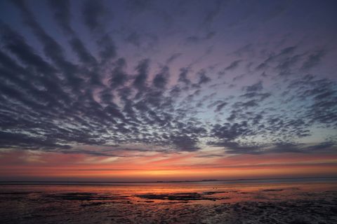 Die Sonne geht über der Nordsee vor der Insel Pellworm unter