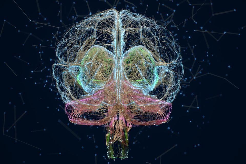 Blick ins Gehirn: Eine der schwierigsten Fragen ist für Gelehrte, wie unser Bewusstsein entsteht 