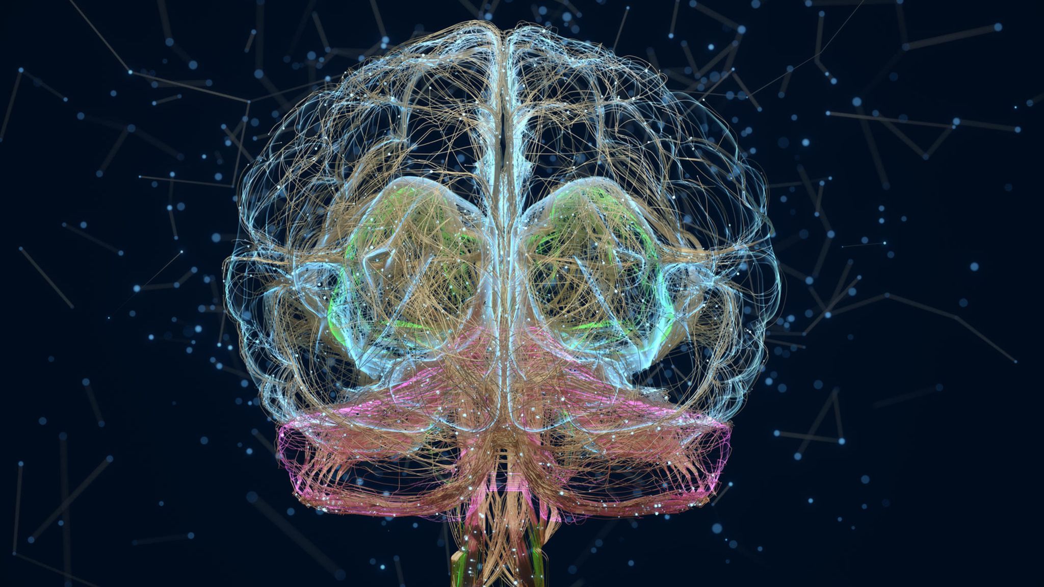 Bewusstein: Blick ins Gehirn: Eine der schwierigsten Fragen ist für Gelehrte, wie unser Bewusstsein entsteht Blick ins Gehirn: Eine der schwierigsten Fragen ist für Gelehrte, wie unser Bewusstsein entsteht