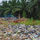 Plastik unter Palmen: Rund um das Dorf türmen sich Tüten und Verpackungen