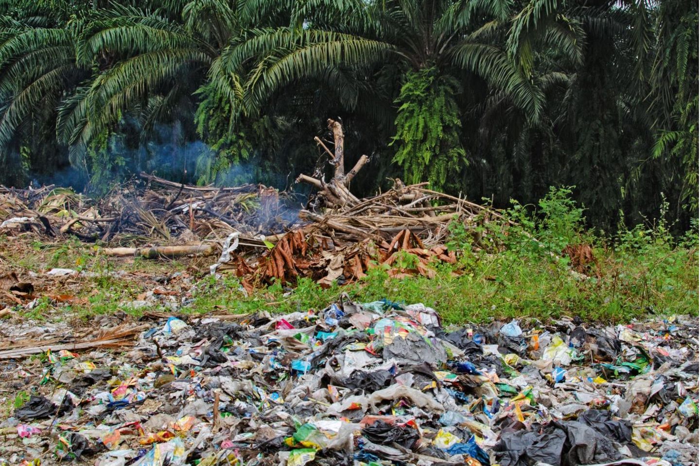 Plastik unter Palmen: Rund um das Dorf türmen sich Tüten und Verpackungen