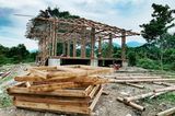 Nachwachsender Rohstoff: Bambus sprießt auf Sumatra überall. Weil die holzigen Stangen sehr stabil sind, dienen sie als Grundgerüst für das neue Bildungszentrum.