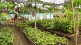 Auf einer kleinen Farm in der Nähe wächst Bio-Obst und -Gemüse.