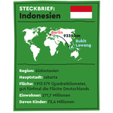 Das Dorf Bukit Lawang liegt im Norden der indonesischen Insel Sumatra.