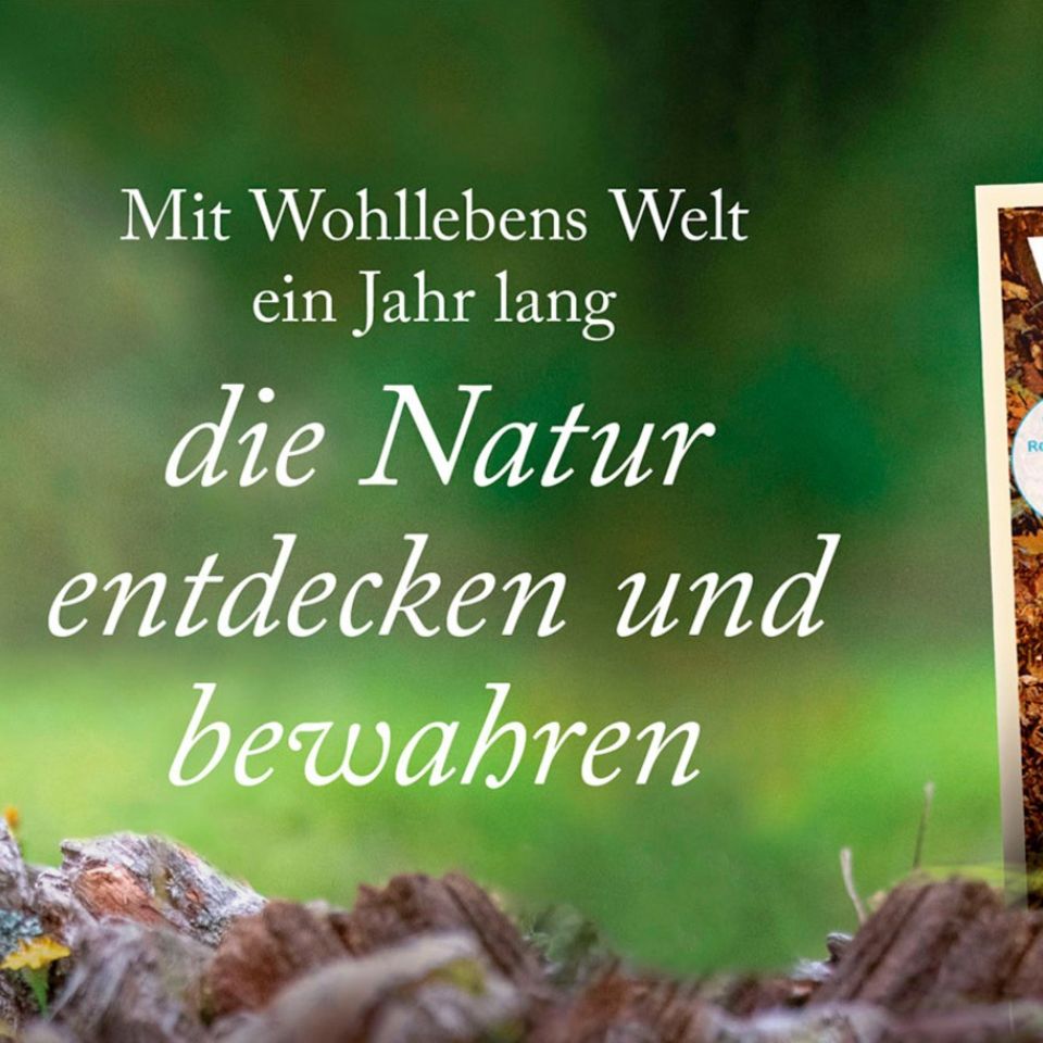 Peter Wohlleben: Was bedeutet eigentlich nachhaltig? – Ein Gespräch mit Louisa Dellert