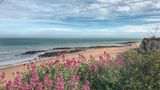 Stone Bay