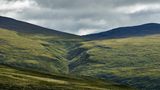 Flusstal im Dovrefjell–Sunndalsfjella National Park