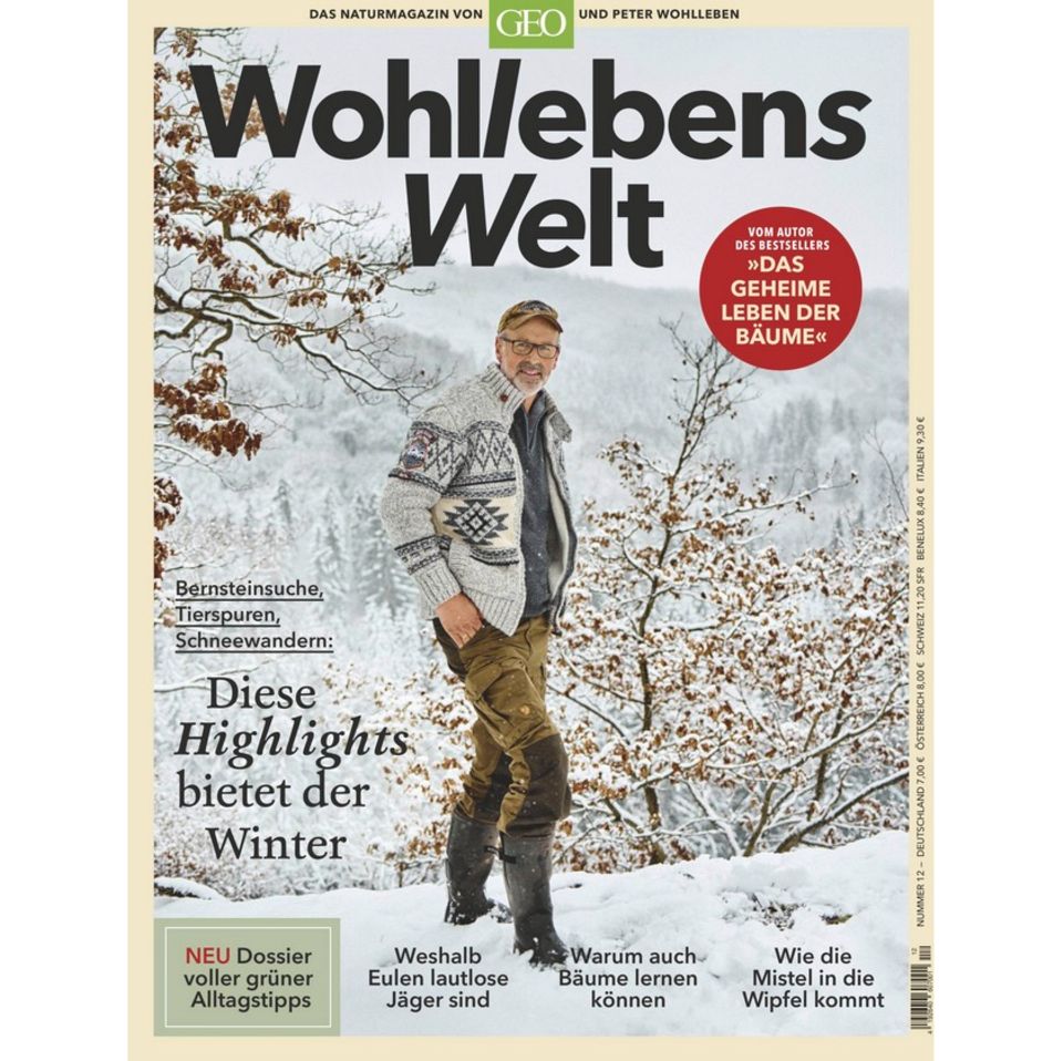 Meister der Täuschung: Hermeline wirken possierlich – sind aber gewieft und wenig zimperlich