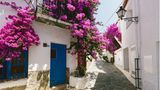 Gasse mit weißen Häusern und pinken Blumen in Cadaqués
