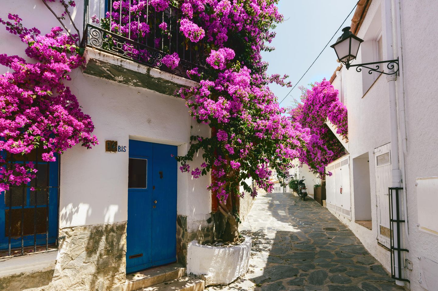 Gasse mit weißen Häusern und pinken Blumen in Cadaqués