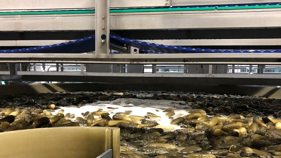 Entsalzung des Gurkenwasers bei Develey Entsalzung des Gurkenwasers bei Develey