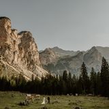 Matt Porteous ist der Mann hinter den Fotos. Für seine Bilder ist er schon mehrfach ausgezeichnet worden. Er möchte mit seinen Fotografien die Geschichte der Hochzeiten erzählen – auch mal zwischen Kühen und vor einer atemberaubenden Kulisse.