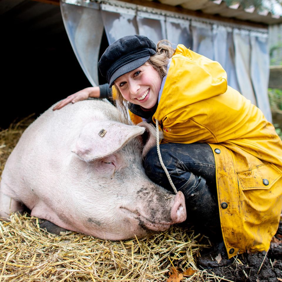 Schwein Rosalie