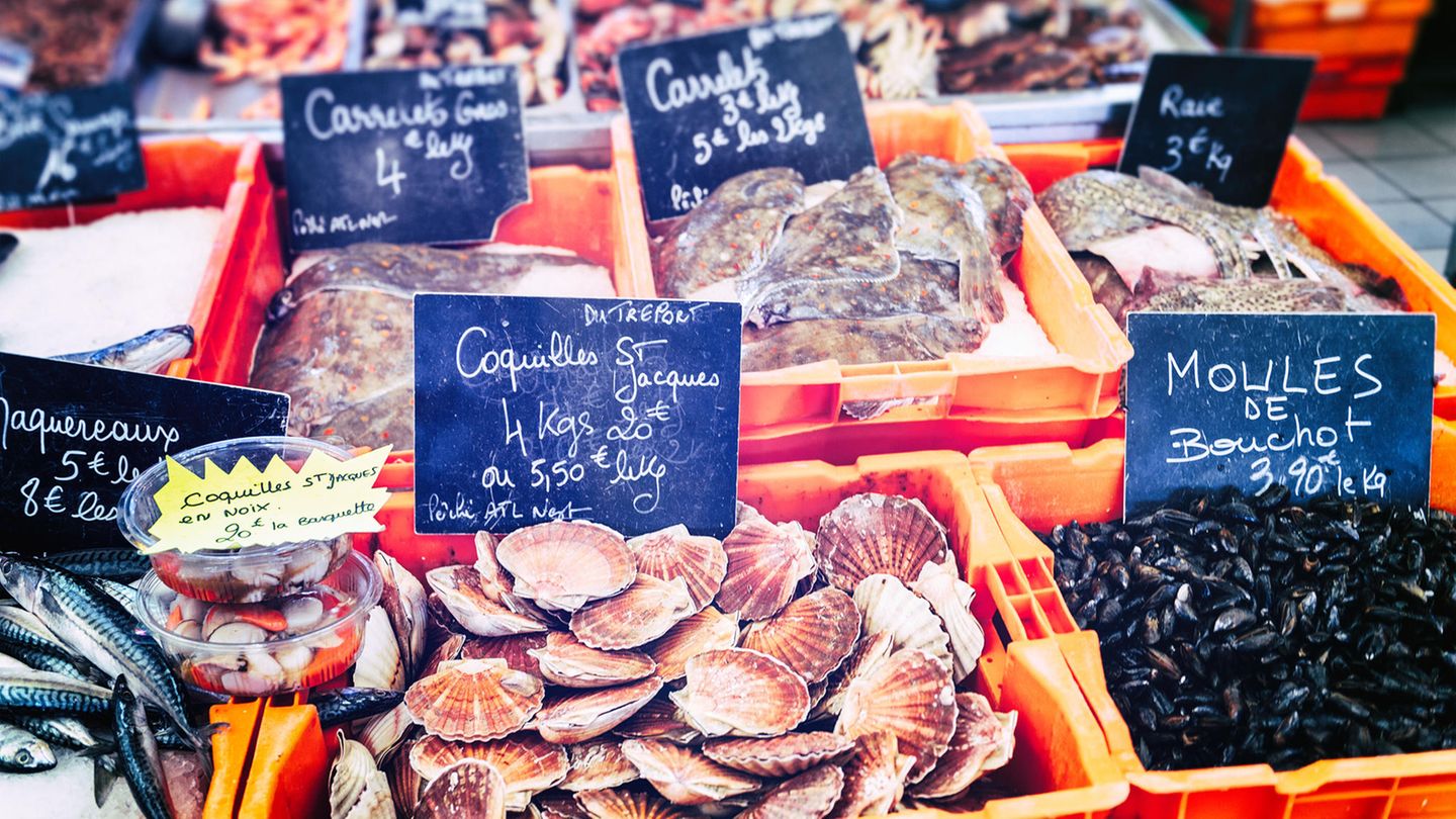 Frische Jakobsmuscheln und Miesmuscheln auf dem MArkt