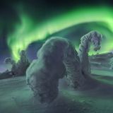 NORTHERN LIGHTS PHOTOGRAPHER OF THE YEAR